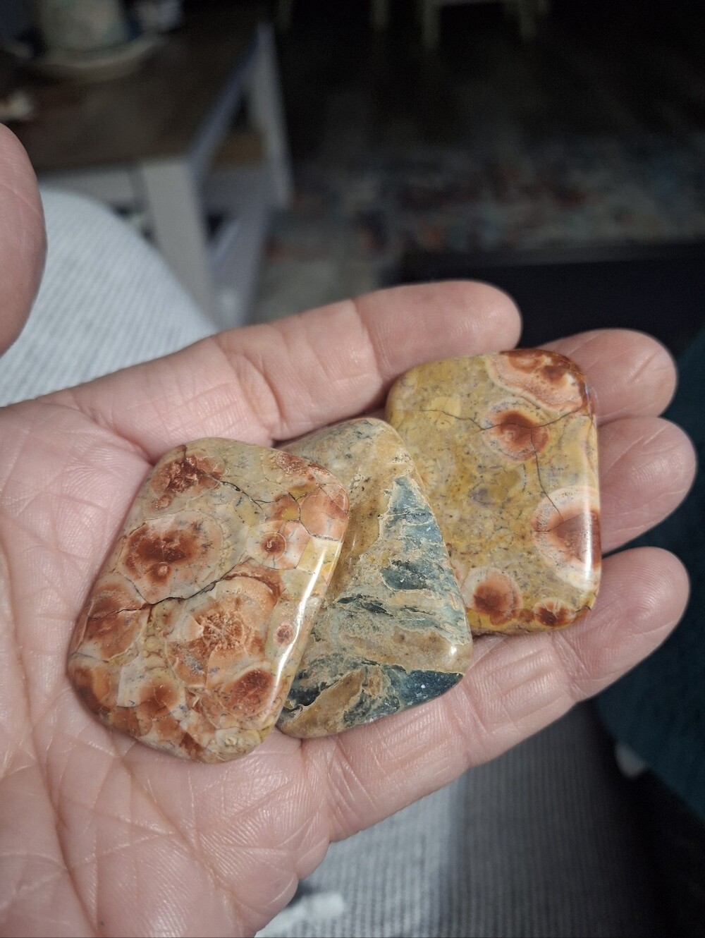 Polished Jasper Cabochon Trio - Earthy Red, Tan & Gray - Picture 2 of 5